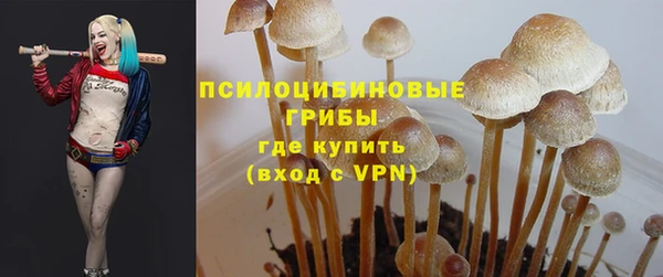 винт Арсеньев