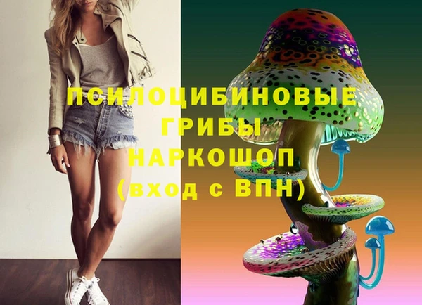 винт Арсеньев