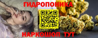 индика Севастополь