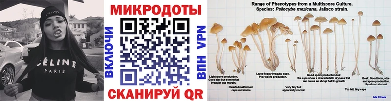Псилоцибиновые грибы прущие грибы  наркошоп  Барабинск 