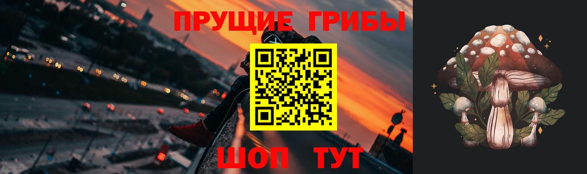 Псилоцибиновые грибы Psilocybine cubensis Барабинск